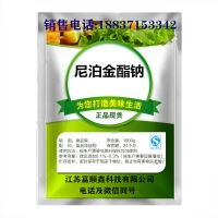 尼泊金酯钠价格 型号 图片
