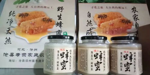 沧州 小小集 又开启 这次几十种美食来到这里开售