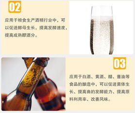 夏盛酸性蛋白酶 高效食品添加剂的厂家直销解决方案